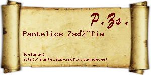 Pantelics Zsófia névjegykártya